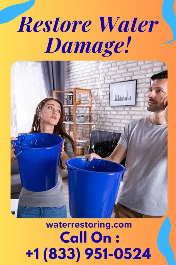 water restoration Pro Storm Damage Force Endwell